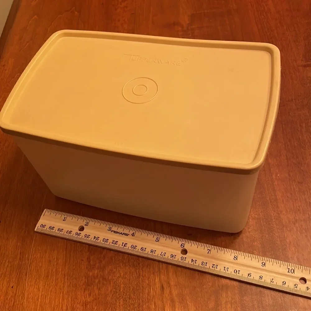 Vintage Tupperware Pak N Store Sheer Container Tan Seal Lid